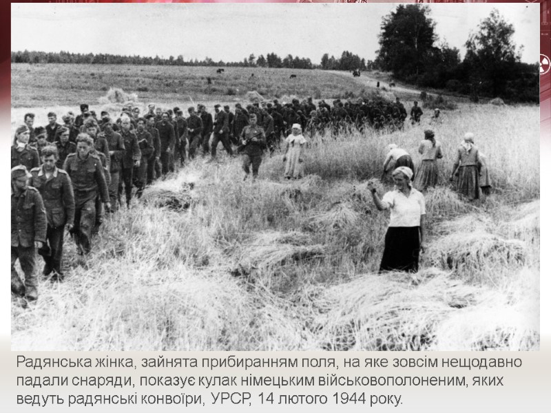 Радянська жінка, зайнята прибиранням поля, на яке зовсім нещодавно падали снаряди, показує кулак німецьким